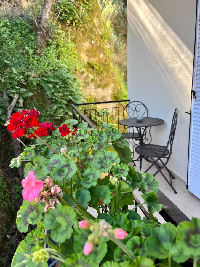 Helena'S Apartment In Corfu Town Corfu (city) Exterior foto